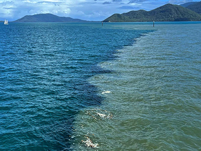 Cape Tribulation, Australia