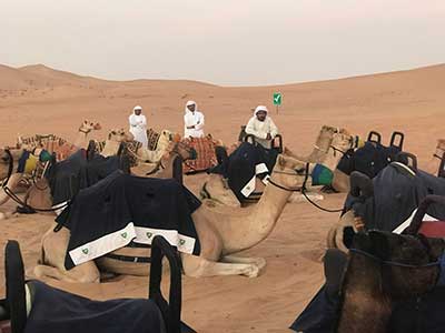 Arabian Desert, UAE